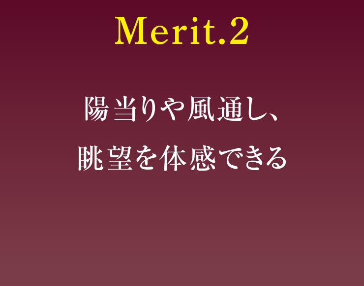 Merit.2
